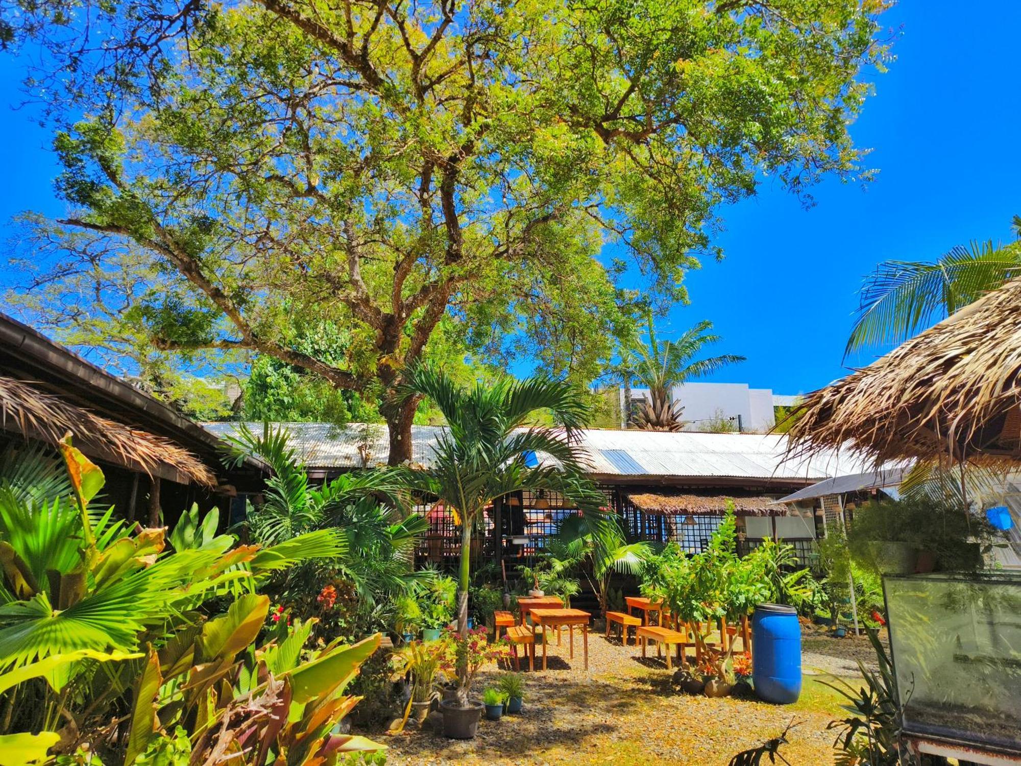 Lokal Hut Bed And Breakfast Puerto Princesa Exterior foto